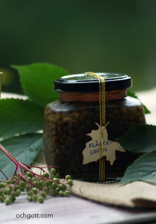 Falsk kapris av fläderbär