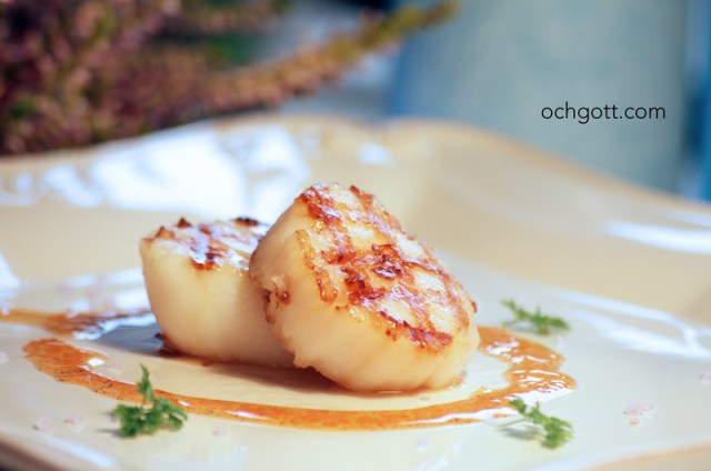 Pilgrimsmusslor med vanilj- och chilihonung - Foto: Britt-Marie Knutsson