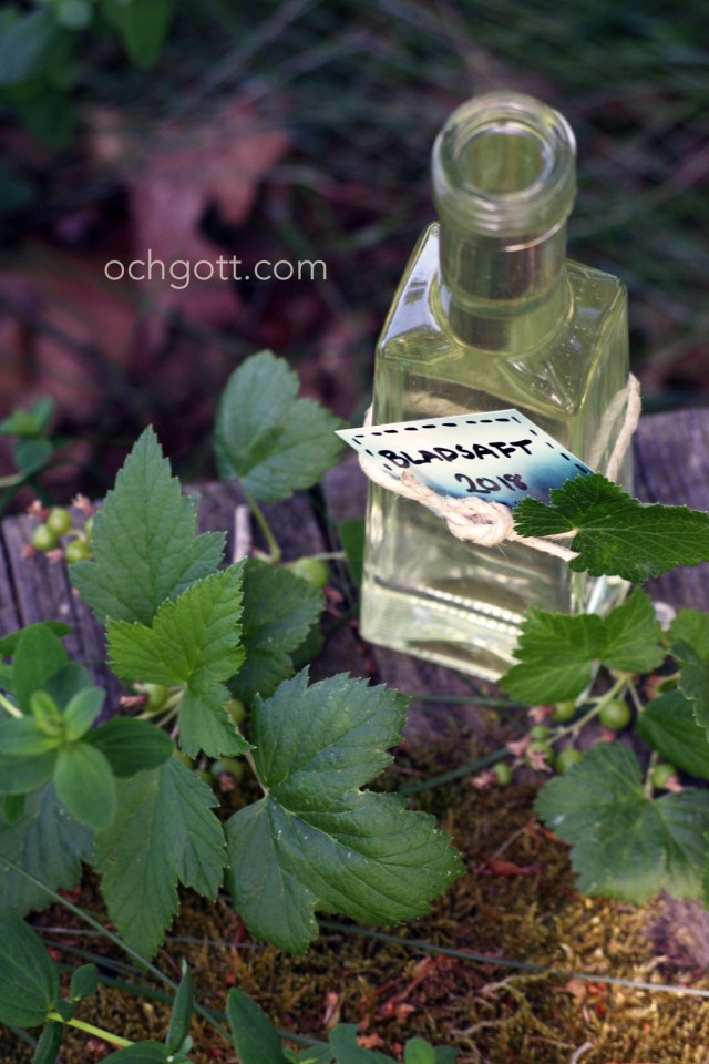 Svartvinbärsbladssaft- Foto: Britt-Marie Knutsson