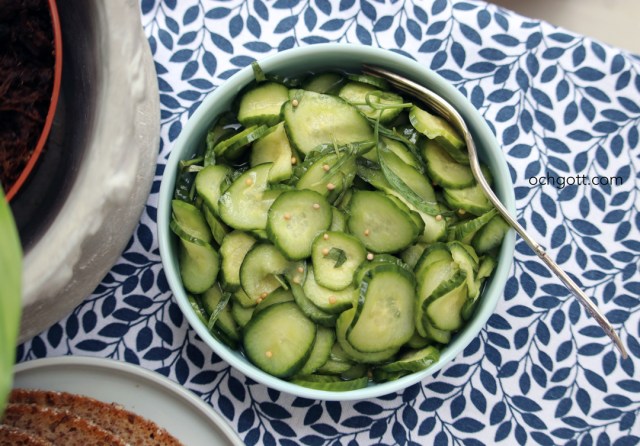 Inlagd gurka med dragon - Foto: Britt-Marie Knutsson