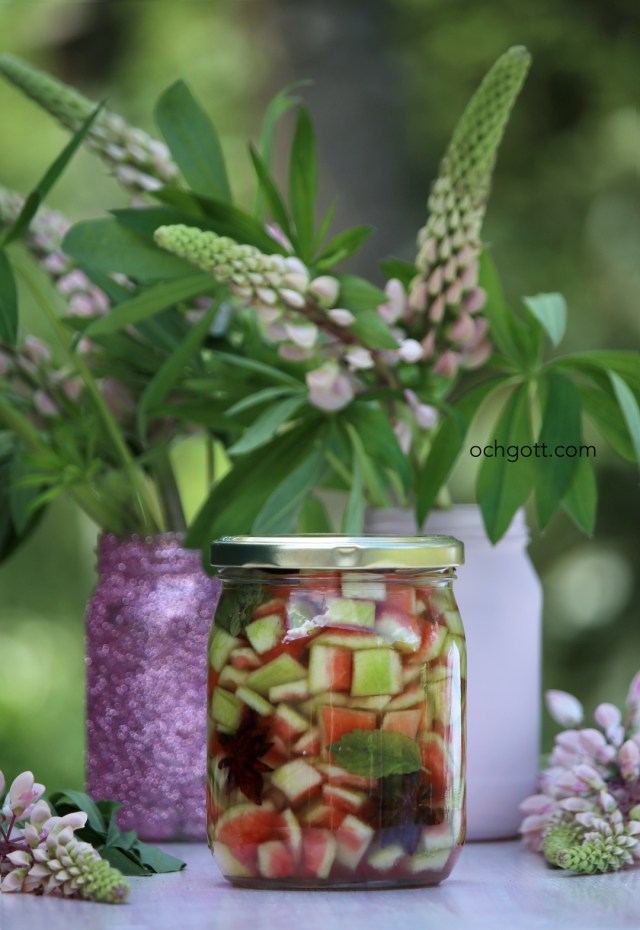 Picklad vattenmelonvita - Foto: Britt-Marie Knutsson