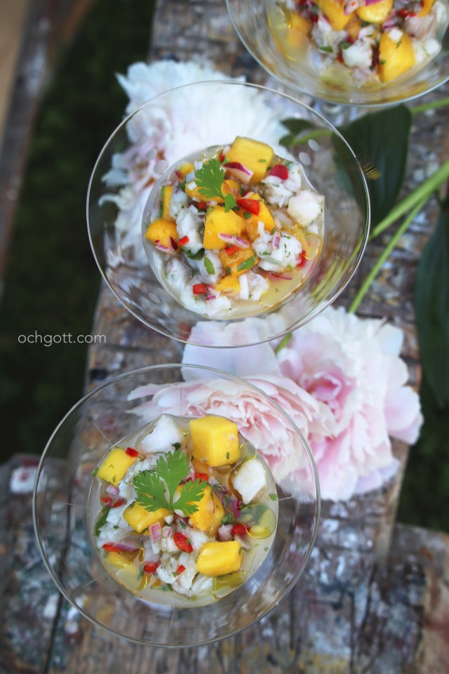 Ceviche - Foto: Britt-Marie Knutsson