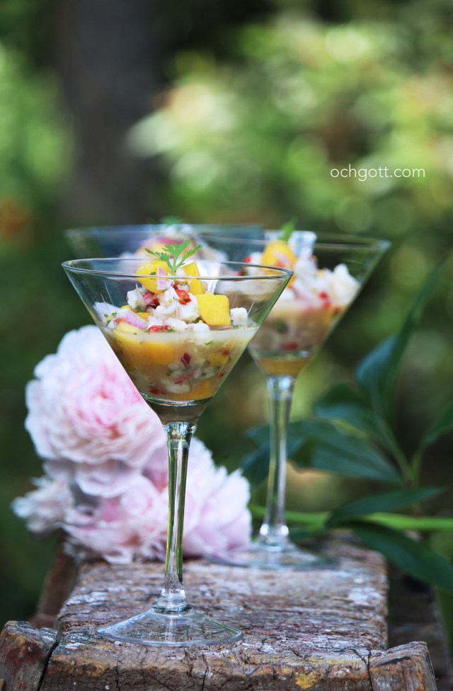 Ceviche - Foto: Britt-Marie Knutsson