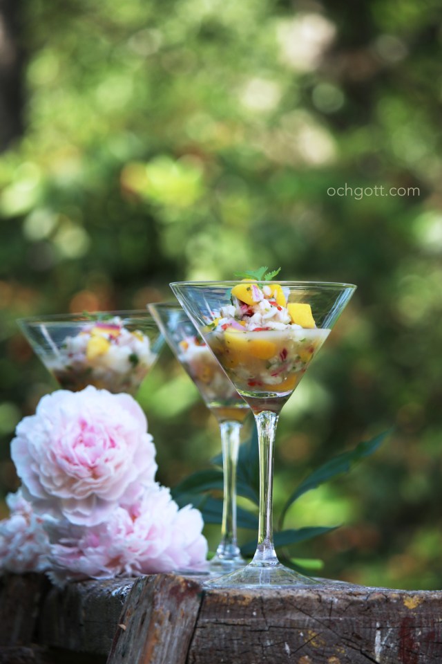 Ceviche - Foto: Britt-Marie Knutsson