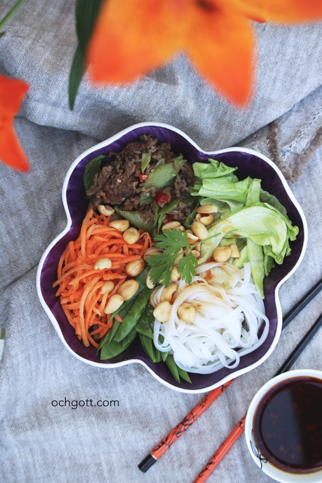 Asiatisk köttfärsbowl - Foto: Britt-Marie Knutsson