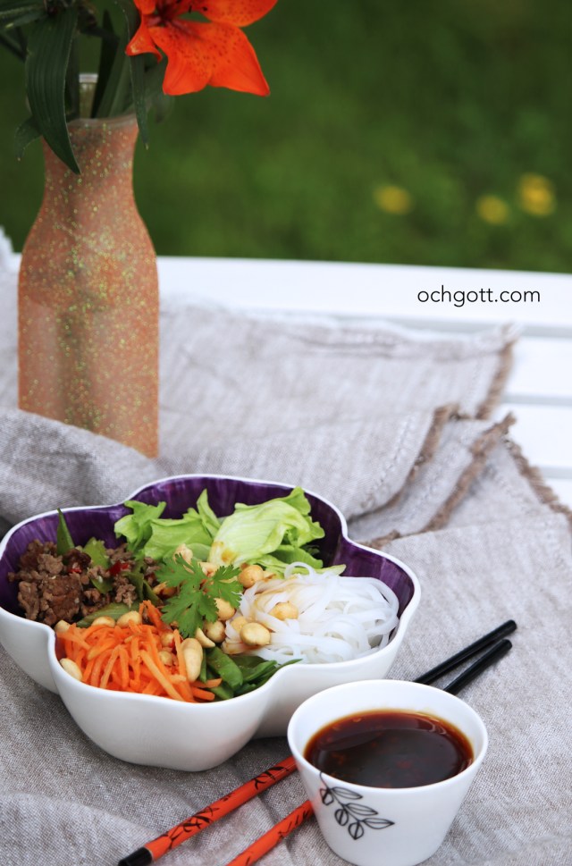 Asiatisk köttfärsbowl - Foto: Britt-Marie Knutsson