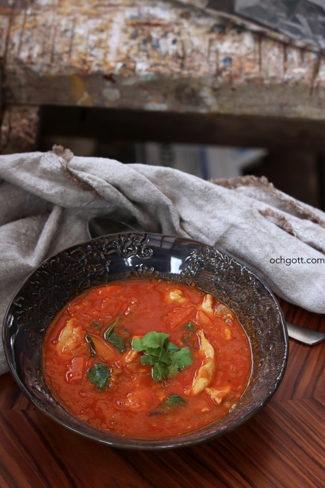 Indiskinspirerad kycklingsoppa - Foto: Britt-Marie Knutsson