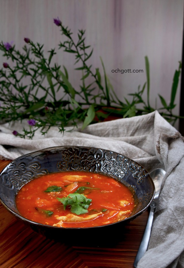 Indiskinspirerad kycklingsoppa - Foto: Britt-Marie Knutsson